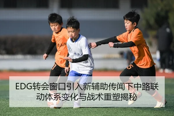 EDG转会窗口引入新辅助传闻下中路联动体系变化与战术重塑揭秘